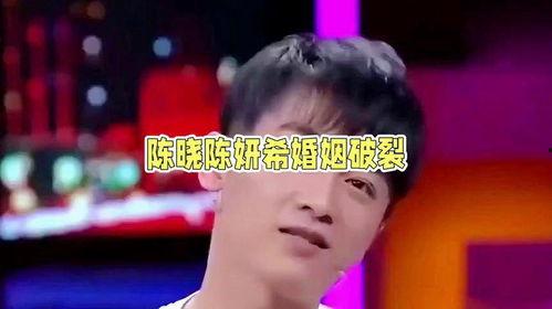 娱乐圈吃瓜陈晓图片大全,揭秘明星幕后生活瞬间  第3张